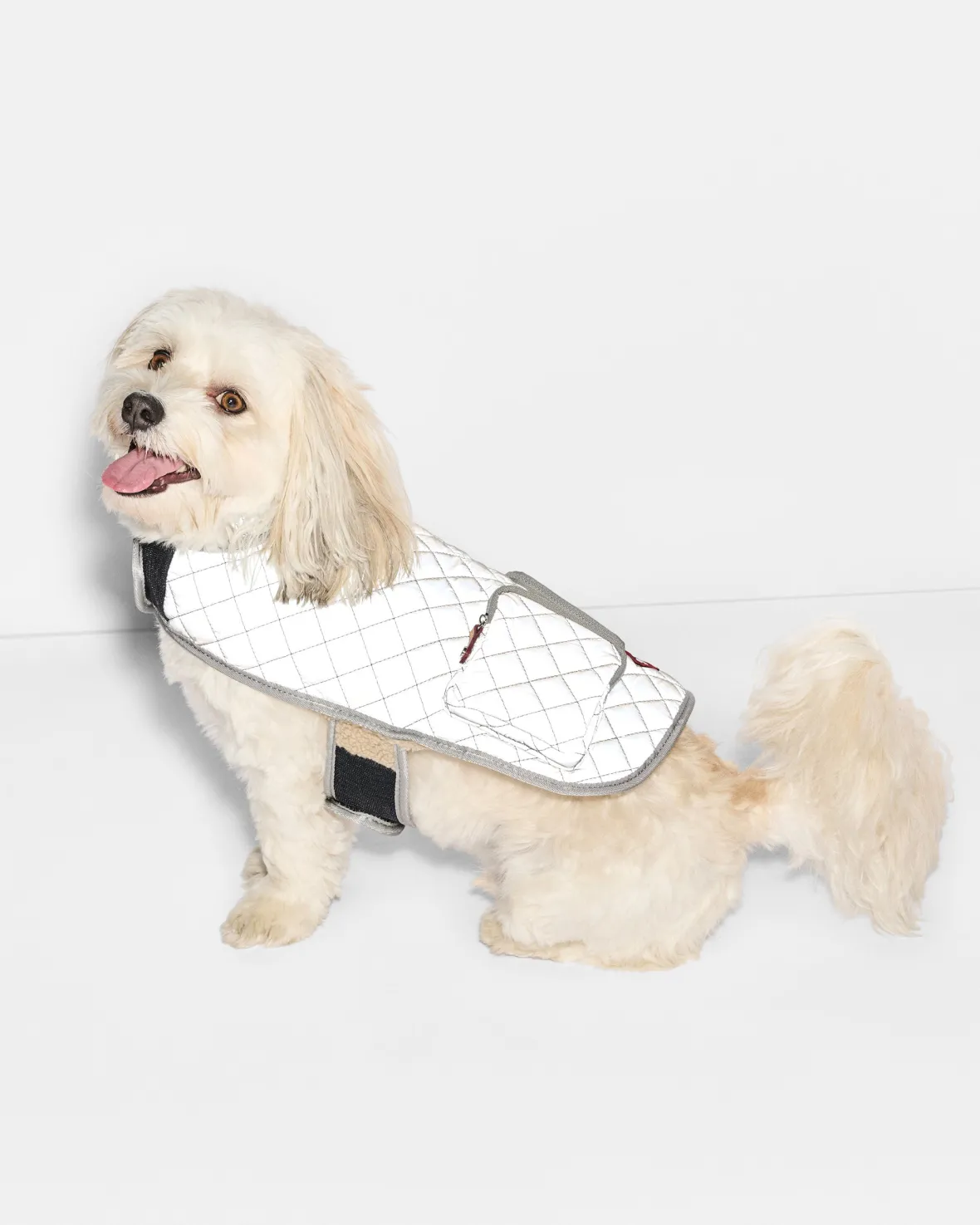 Accessories<MZ Wallace Medium MZW Dog Coat SilverReflectiveW/TanSherpa